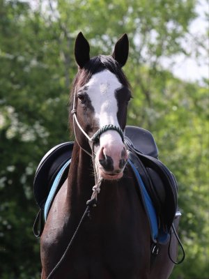 Mykasmall7.jpg Mykasmall7.jpg