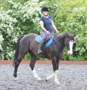 Mykasmall5.jpg Mykasmall5.jpg