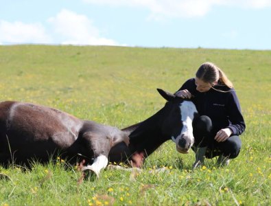 fe975f02-c952-48bb-b2f8-f0b76c23a126.jpg fe975f02-c952-48bb-b2f8-f0b76c23a126.jpg