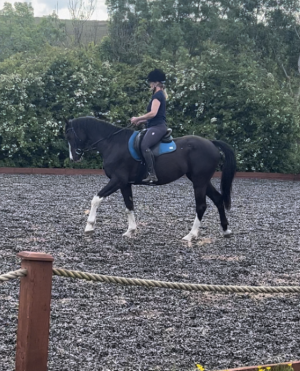 IMG_1919.PNG IMG_1919.PNG