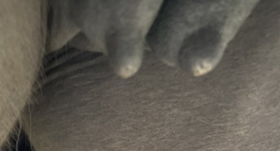 IMG_0780.jpeg