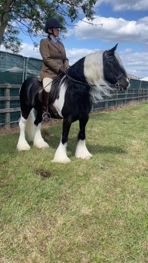 ff926af4-5415-42c7-951f-826ddf128fd1.jpeg ff926af4-5415-42c7-951f-826ddf128fd1.jpeg