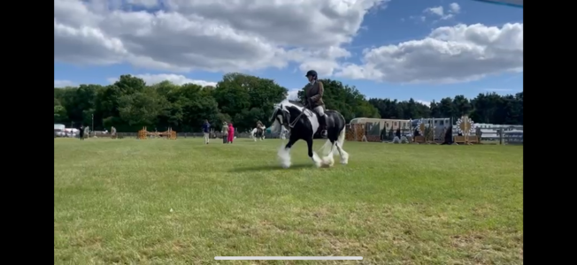 IMG_6126.png IMG_6126.png