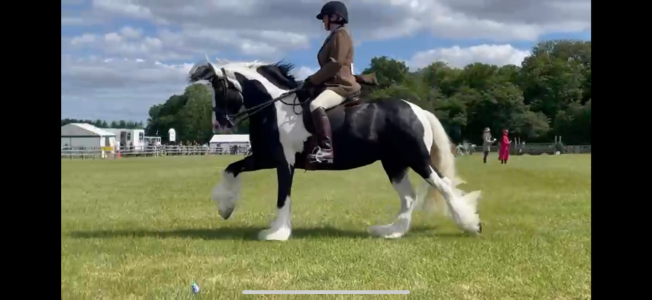 IMG_6124.png IMG_6124.png