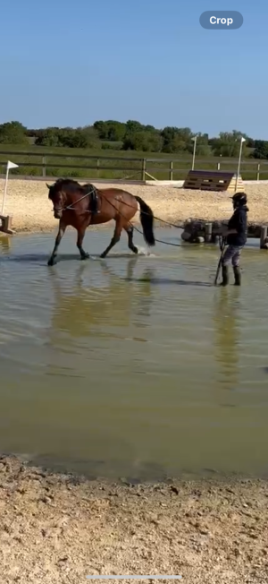 IMG_6035.png IMG_6035.png