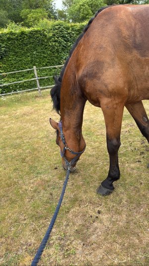 69011A5B-FBAE-4CCE-9415-C4B012C8E265.jpeg 69011A5B-FBAE-4CCE-9415-C4B012C8E265.jpeg