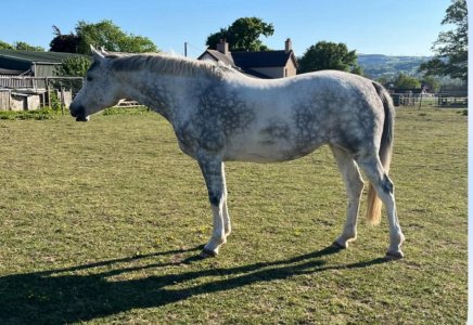 IMG_0527.jpeg IMG_0527.jpeg