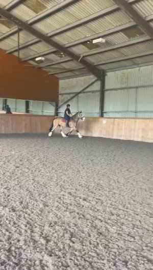 VID-20250525-WA0001_exported_16566.jpg VID-20250525-WA0001_exported_16566.jpg