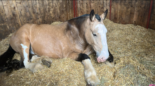 Screenshot_20250526-170535~2.png Screenshot_20250526-170535~2.png