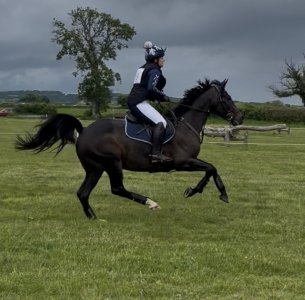 IMG_1111.jpeg IMG_1111.jpeg