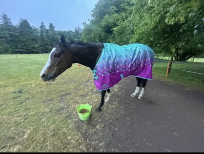 IMG_6611.jpeg IMG_6611.jpeg