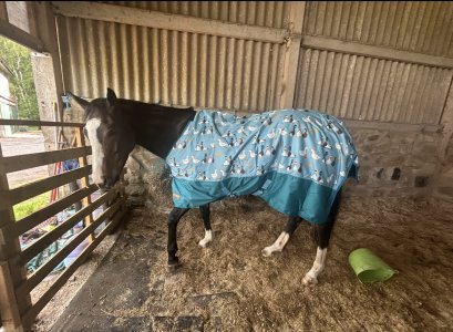 IMG_6609.jpeg IMG_6609.jpeg