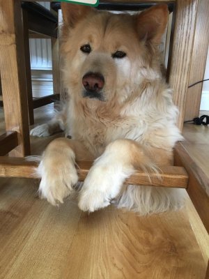 3c5620c4-c5e5-4f6d-a32d-6dc148025a75.jpeg 3c5620c4-c5e5-4f6d-a32d-6dc148025a75.jpeg