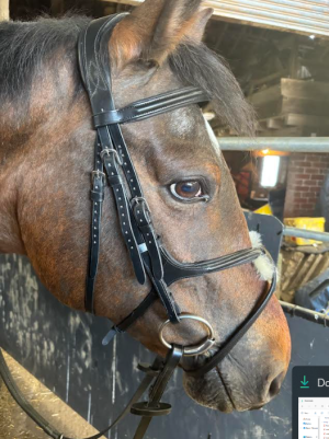 Screenshot 2025-05-28 203833.png