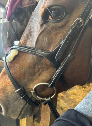 Screenshot 2025-05-28 203849.png