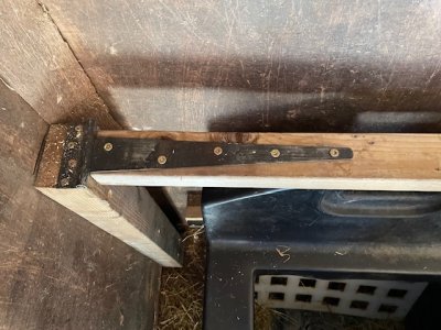 IMG_9675.jpeg IMG_9675.jpeg