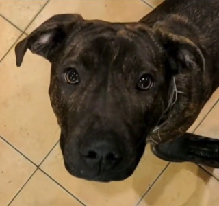 Screenshot 2025-05-29 141839.png