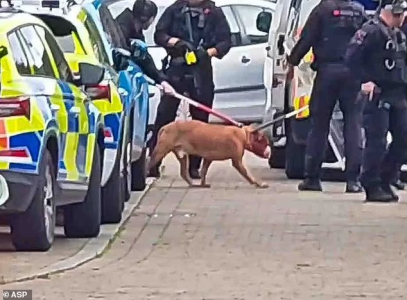 1748598779682.png 1748598779682.png