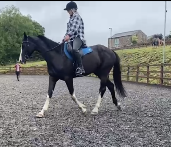 IMG_2111.PNG IMG_2111.PNG