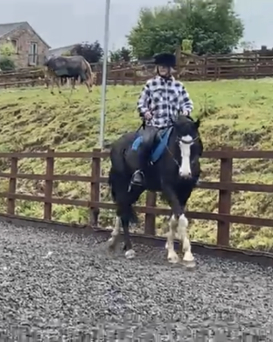 IMG_2110.PNG IMG_2110.PNG