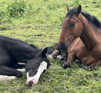 unnamed (24).jpg unnamed (24).jpg