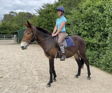 f2e5e4c6-bfb0-4256-9120-21f2abaf1cc8.jpeg f2e5e4c6-bfb0-4256-9120-21f2abaf1cc8.jpeg