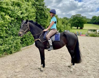 IMG_2931.jpeg IMG_2931.jpeg