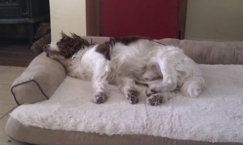 IMG_0709.jpeg IMG_0709.jpeg