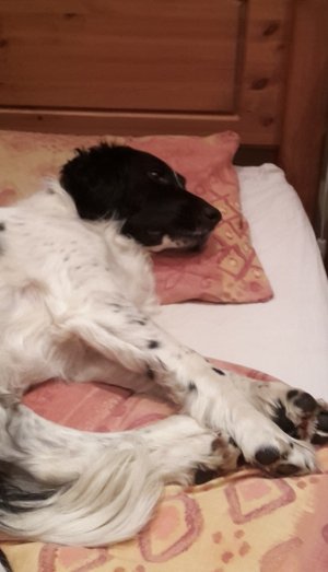 IMG_2260.jpeg IMG_2260.jpeg