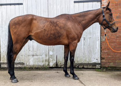 Alfie May 2024 (Small).png