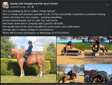 1748862280545.png 1748862280545.png