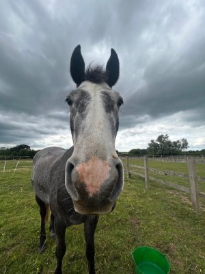 IMG_1572.jpeg IMG_1572.jpeg