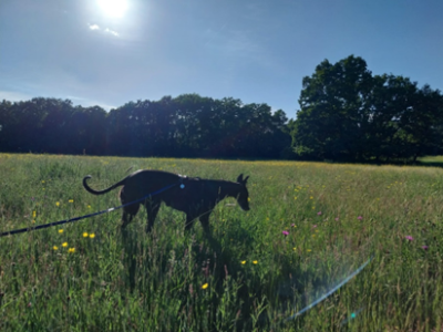 1748946994732.png 1748946994732.png