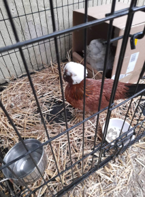 1748977770883.png 1748977770883.png