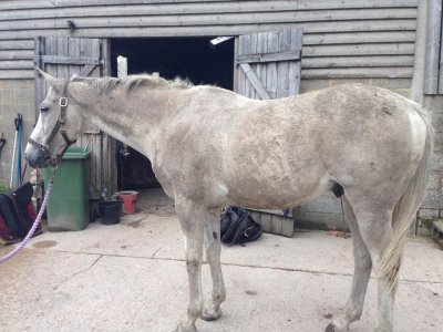 IMG_5906.jpeg IMG_5906.jpeg