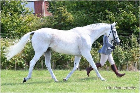 IMG_5907.jpeg IMG_5907.jpeg