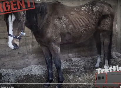 Screenshot 2025-06-04 123818.png