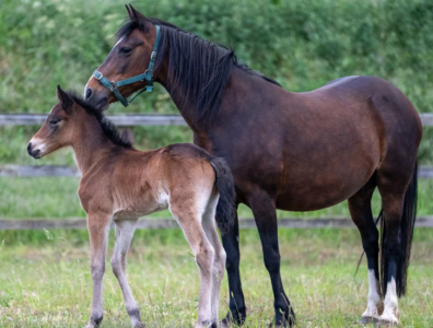 Screenshot 2025-06-04 123512.png