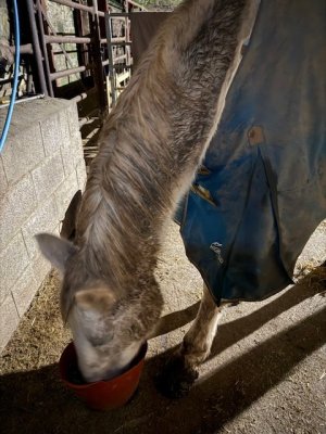 IMG_4922.jpeg IMG_4922.jpeg