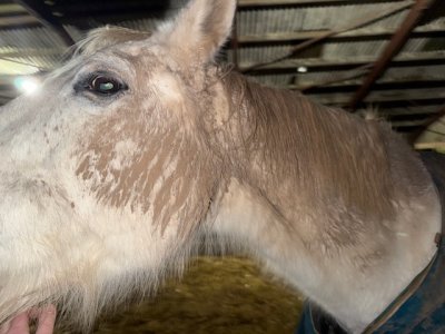 IMG_5290.jpeg IMG_5290.jpeg