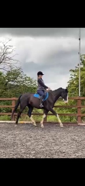 1E37DF46-F19F-4033-884F-EC1DFB9D9C17.jpeg 1E37DF46-F19F-4033-884F-EC1DFB9D9C17.jpeg