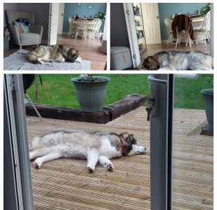 Screenshot_20250608_132422_Editor Lite.jpg