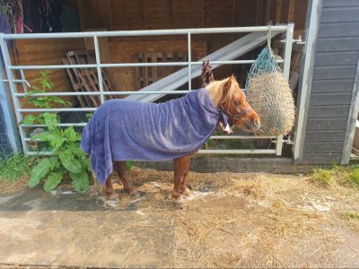 Screenshot_20250608_110840_Gallery.jpg Screenshot_20250608_110840_Gallery.jpg