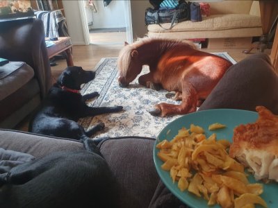 Screenshot_20250608_182540_Gallery.jpg Screenshot_20250608_182540_Gallery.jpg