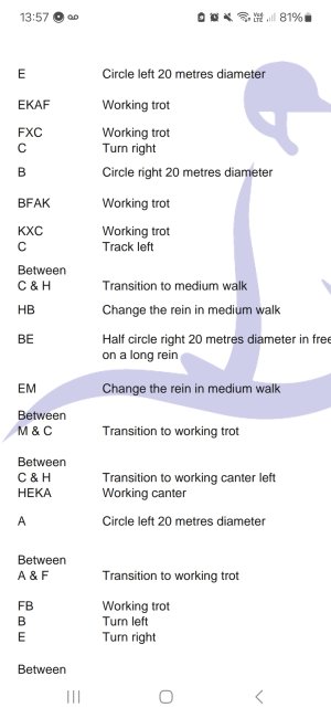 Screenshot_20250609_135710_M365 Copilot.jpg