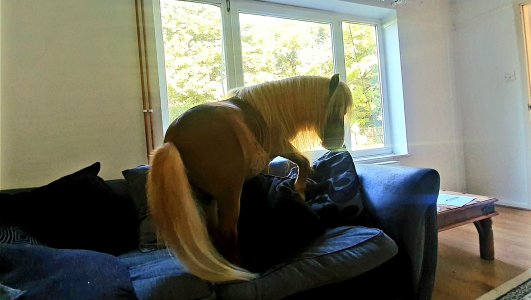 Screenshot_20240623_072157_Gallery.jpg Screenshot_20240623_072157_Gallery.jpg