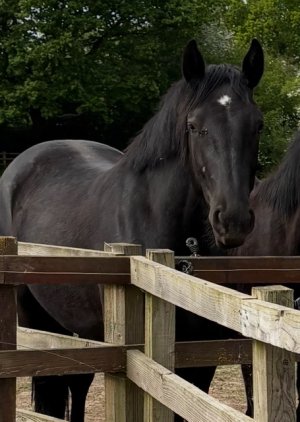 IMG_9701.jpeg IMG_9701.jpeg