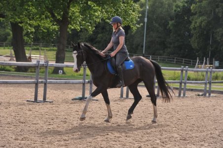 Myka Camp 4.JPG Myka Camp 4.JPG