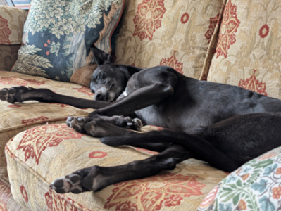 1749912409390.png 1749912409390.png