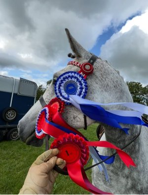 att.5c_A1S78rjvx491q0UF8tCflInUc_uyVDZ3CwXXMvyI.jpeg att.5c_A1S78rjvx491q0UF8tCflInUc_uyVDZ3CwXXMvyI.jpeg